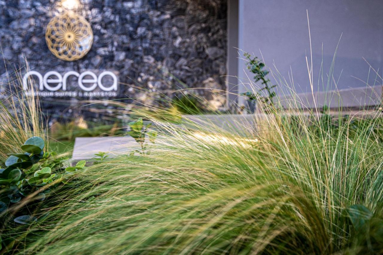 Nerea Boutique Suites Karystos Exterior photo
